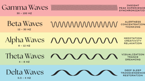 alfa relaksuje, beta pobudza