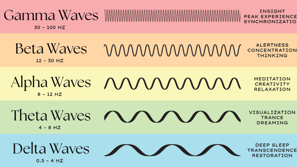 alfa relaksuje, beta pobudza